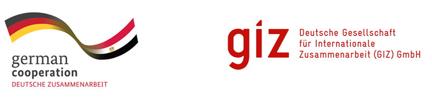 المؤسسة الألمانية للتعاون الدولي (GIZ)