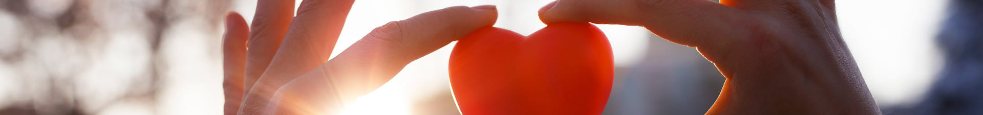 قائمة مؤسسات المجتمع الأهلي